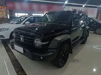 Tank 300
