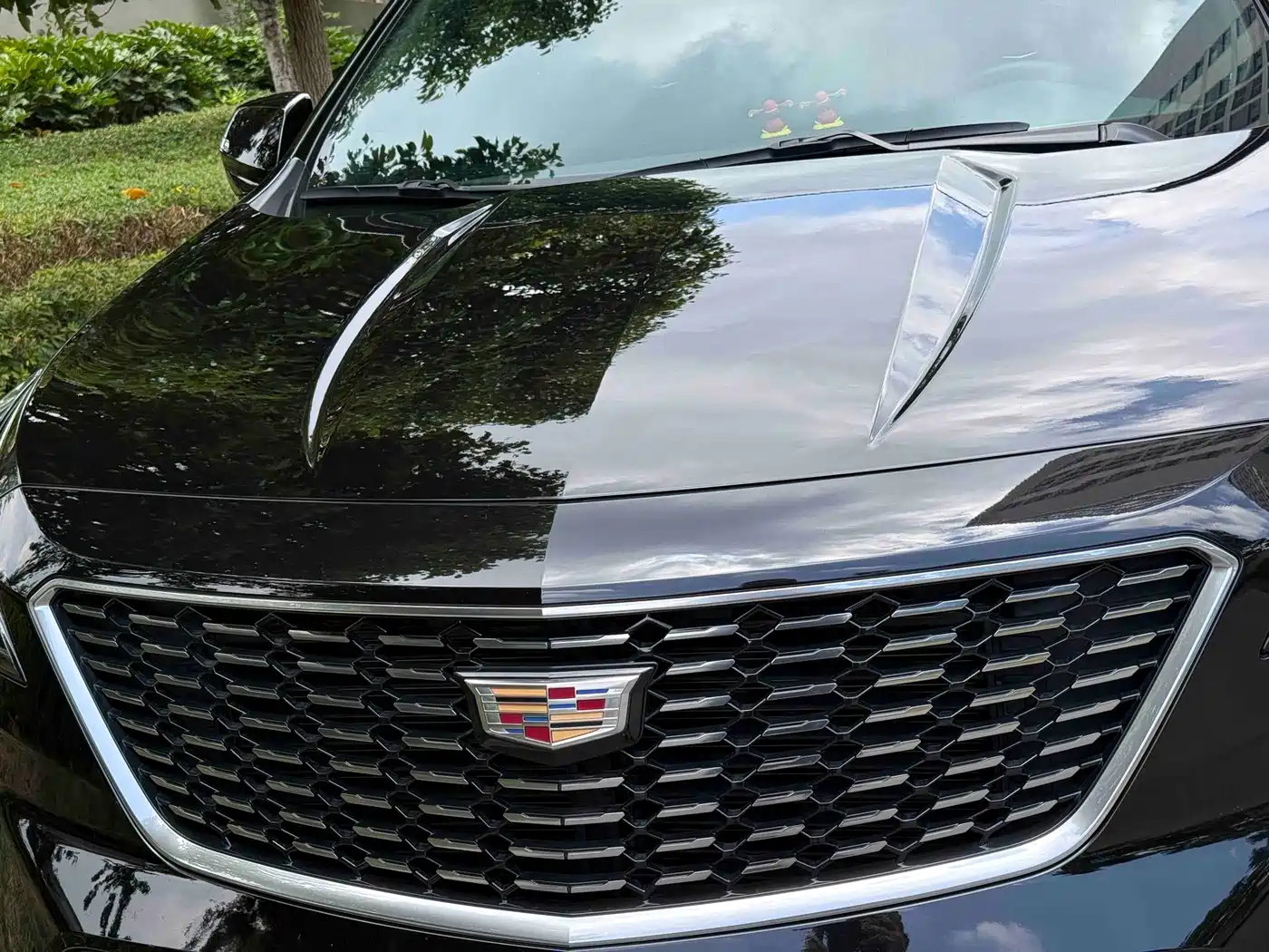 Cadillac XT4 2021 28T FWD Premium Edition фото 6