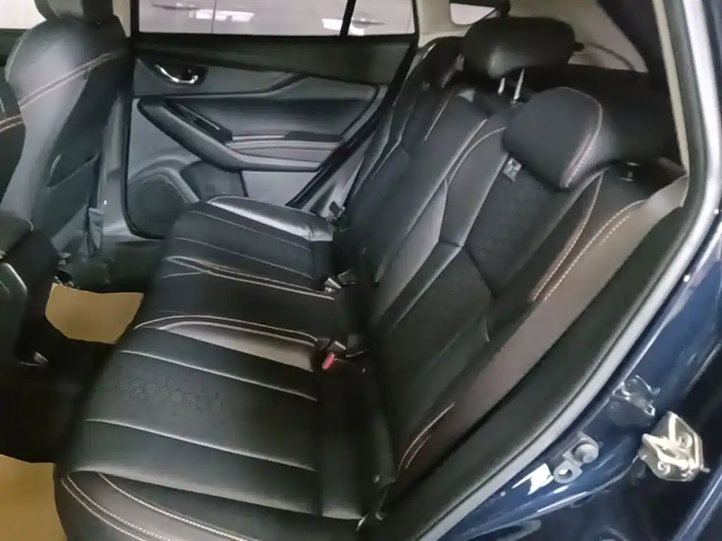 Subaru XV 2020 2.0i AWD Luxury Edition with EyeSight фото 13