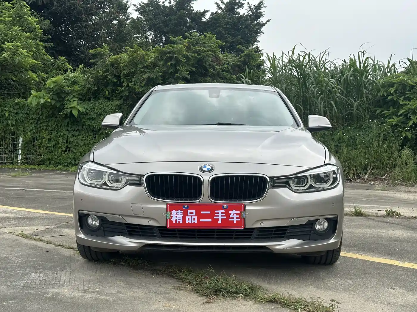 BMW 3 Series 2017 320Li Fashion фото 2
