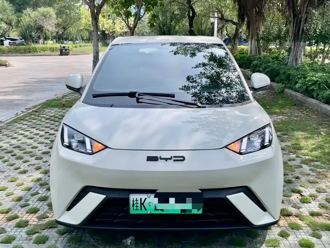 BYD Seagull 2024 Glory Edition 305km Freedom Edition фото 2