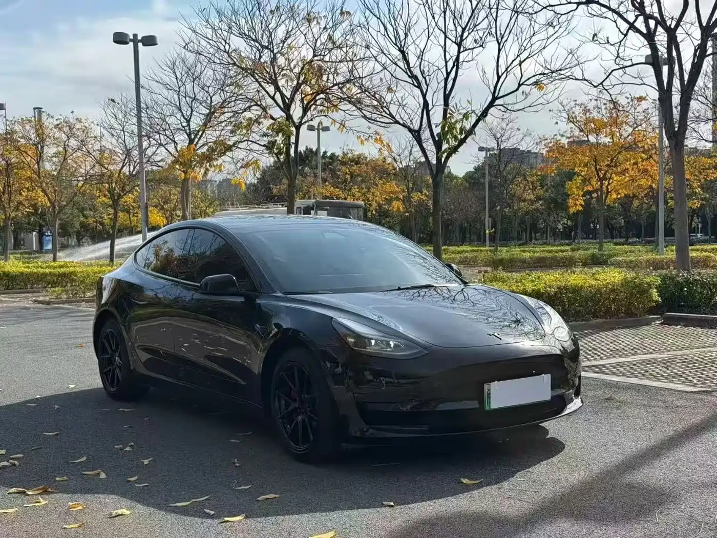 TESLA MODEL 3