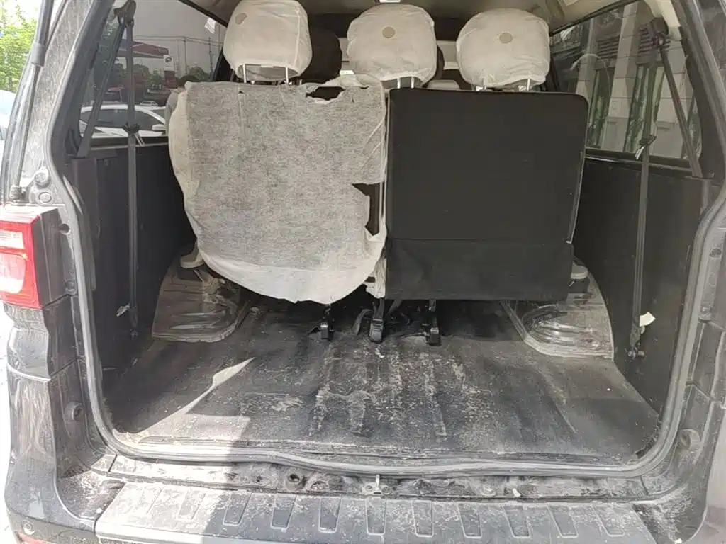 DONGFENG POPULAR LINGZHI