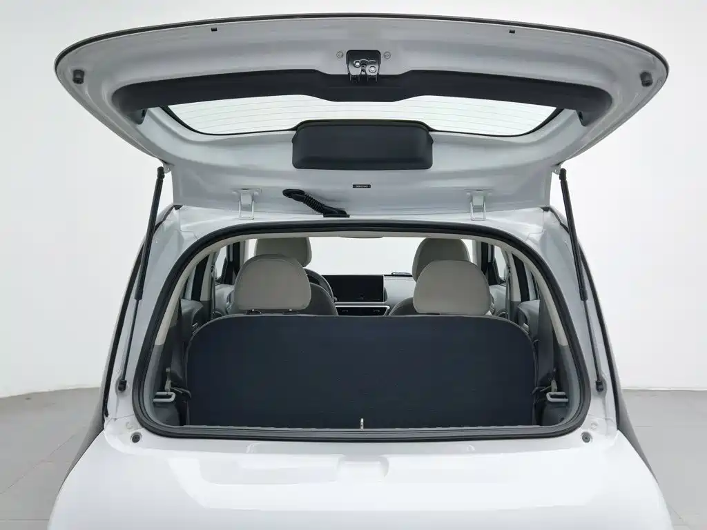 Ora White Cat 2020 2020 360km Luxury Model