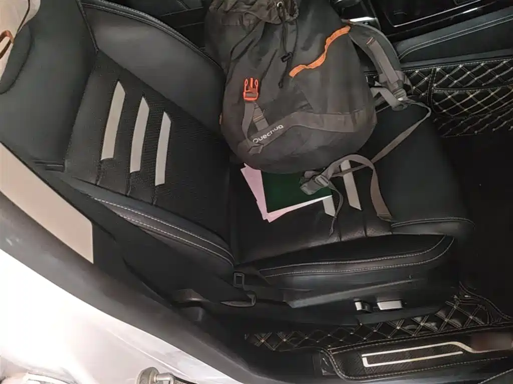 BYD Qin Pro New Energy 2019 EV Super Edition High Power Smart Connect Leading Glory фото 25