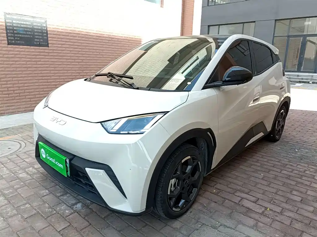 BYD Seagull 2024 Glory Edition 305km Freedom Edition фото 2