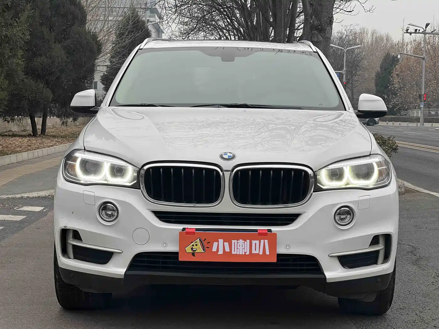 BMW X5 (Import) 2014 xDrive35i Elegance фото 2