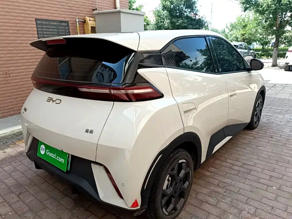 BYD Seagull 2024 Glory Edition 305km Freedom Edition фото 7