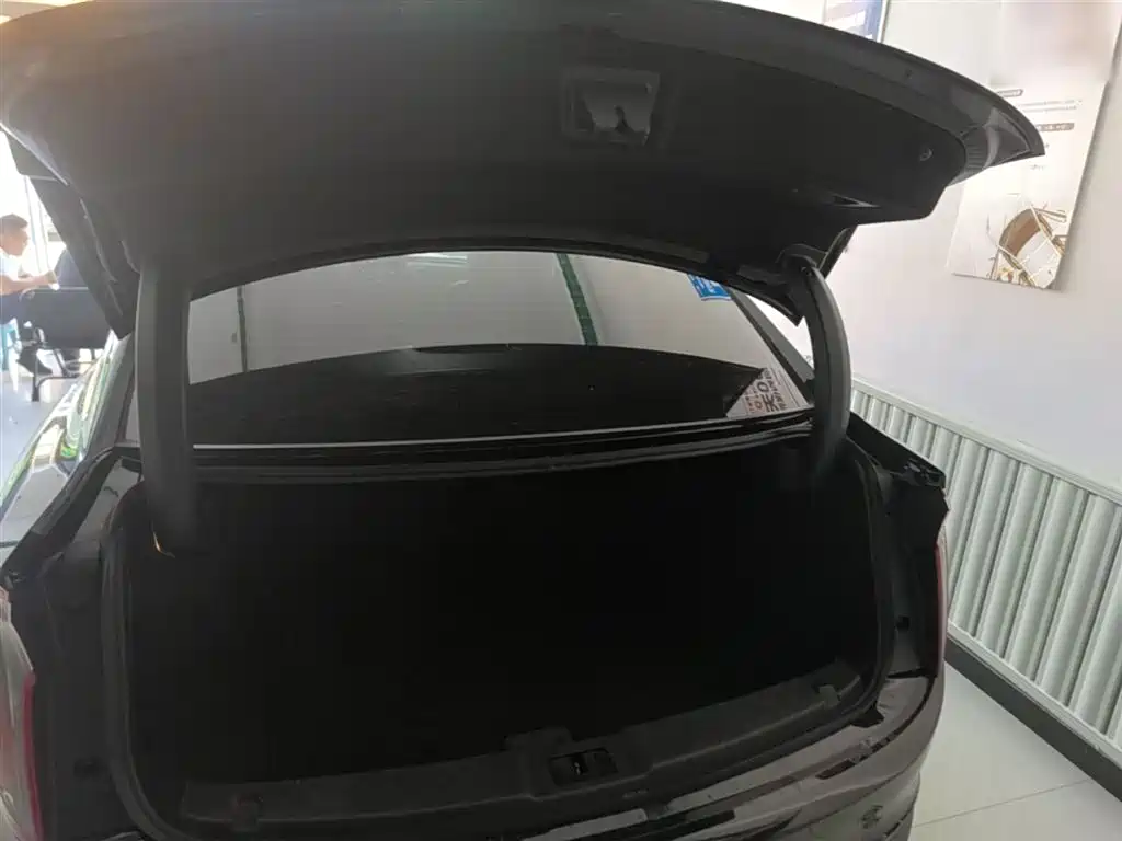 Hongqi E-QM5 2023 620km PLUS фото 19