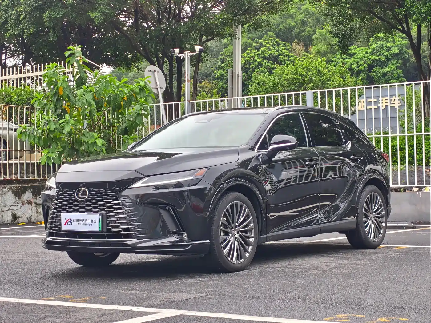 Lexus RX New Energy