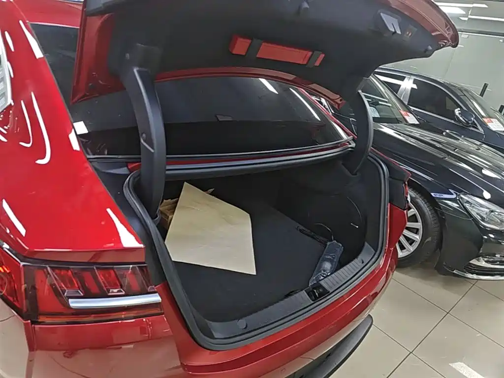 BYD Han 2020 EV AWD High-Performance Flagship фото 19