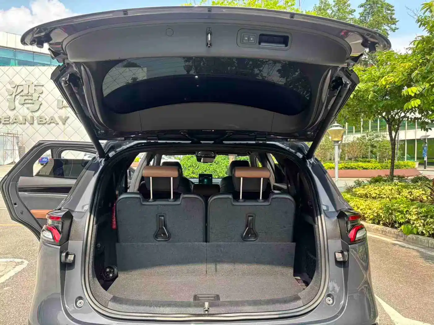 BYD Tang New Energy 2021 DM-i 112KM Honor фото 13