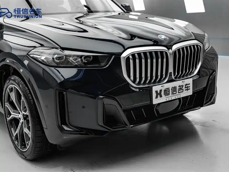 BMW X5 2023 xDrive 30Li Premium M Sport Black Night Package фото 6