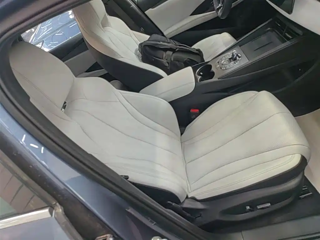 BYD Seal 06 New Energy 2024 DM-i 120KM Premium фото 25