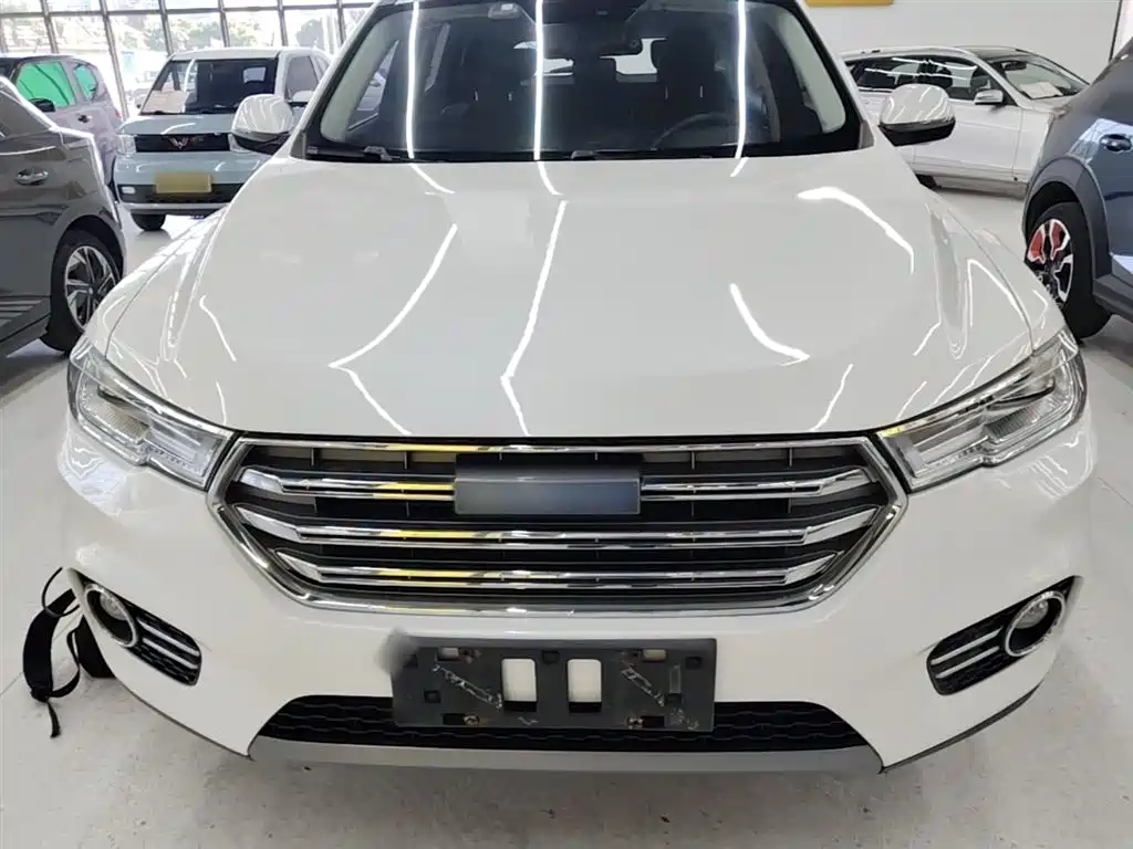 Haval H6 2017 Blue Label 2.0T Automatic 2WD Smart Edition фото 3