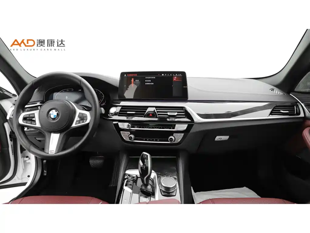 BMW 5 Series 2021 525Li M Sport Package фото 5
