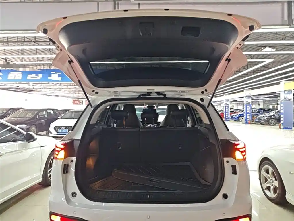 GAC Trumpchi Trumpchi GS4 2021 270T Auto Smart Connect Tech фото 19
