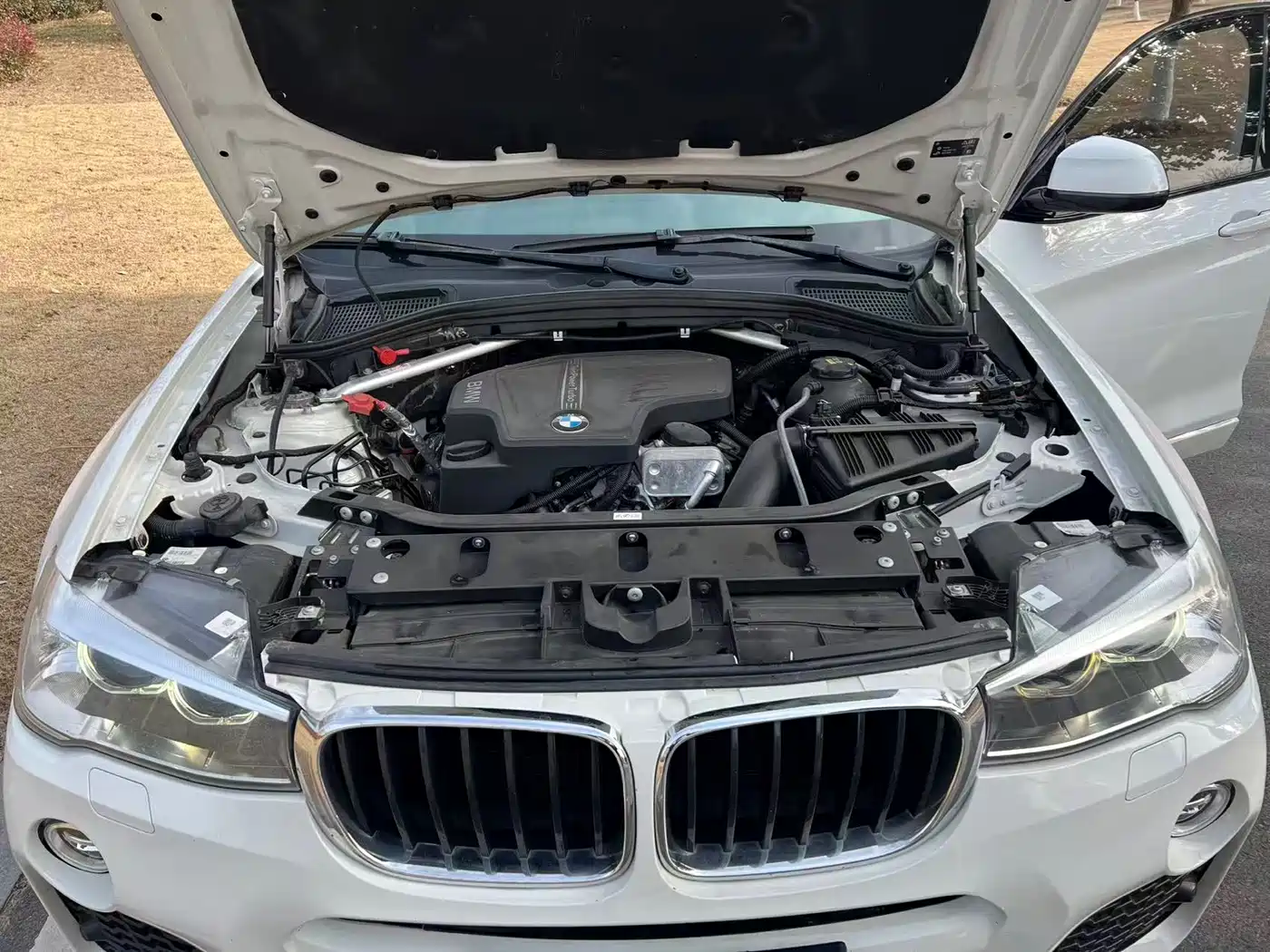BMW X4 2016 Model xDrive20i M Sport фото 19
