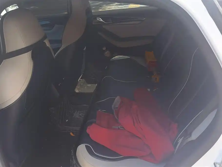 BYD Qin PLUS 2021 EV 500KM Premium Model фото 11