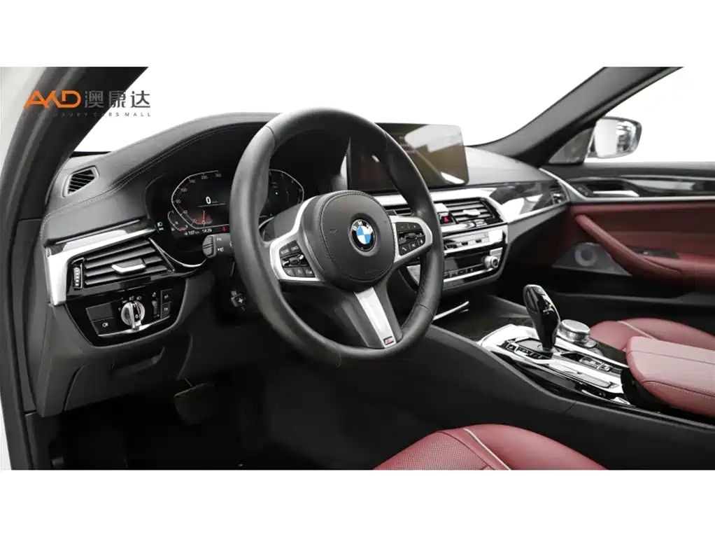 BMW 5 Series 2021 525Li M Sport Package фото 6