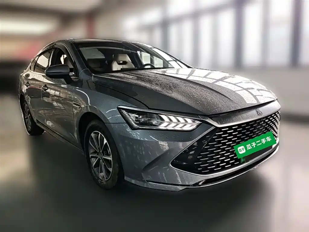 BYD Qin PLUS 2024 Glory Edition DM-i 55KM Leading фото 7