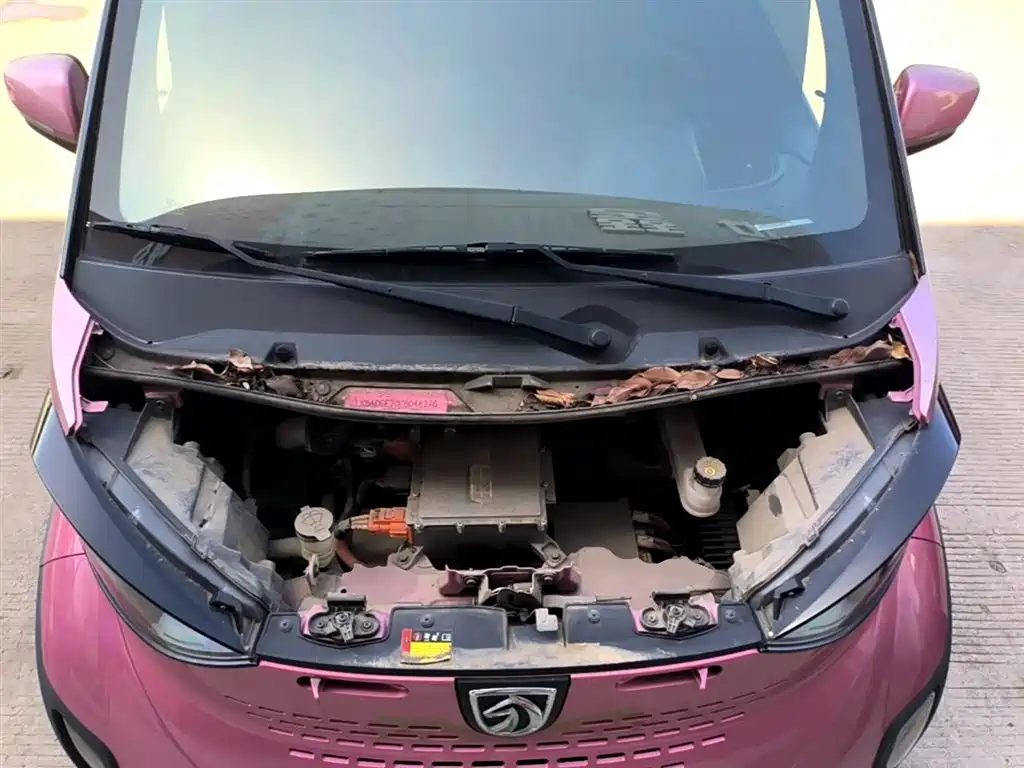BAOJUN E100