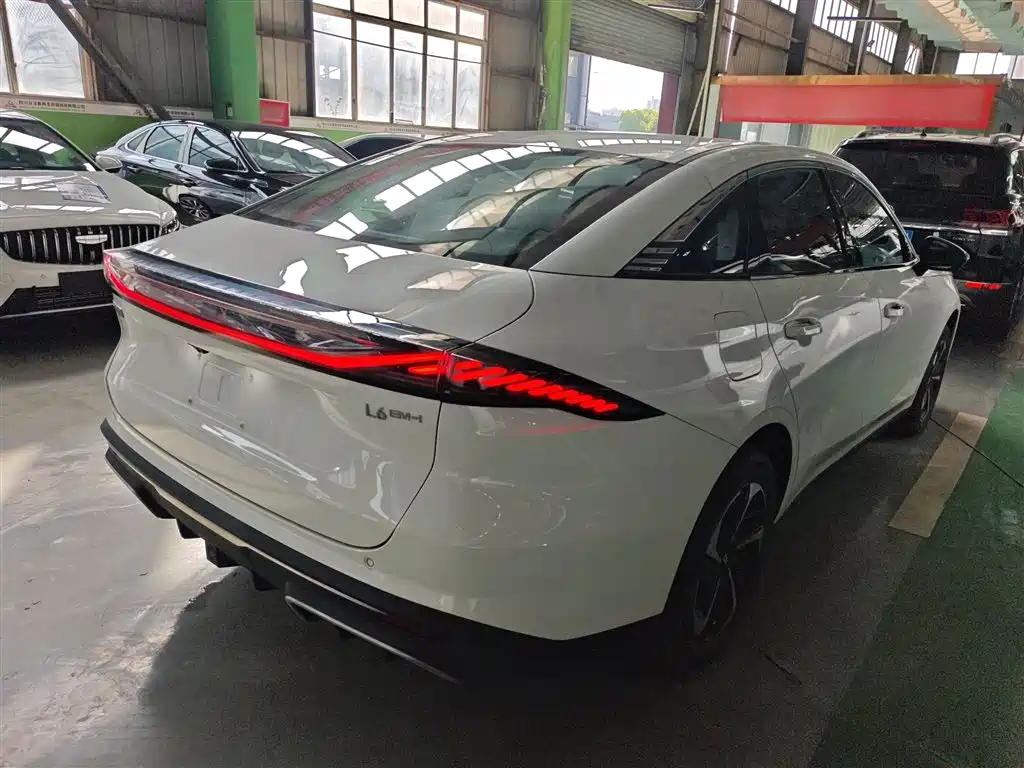 Geely Galaxy Galaxy L6 2025 EM-i 140km Starship Edition фото 7