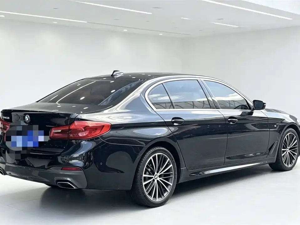 BMW 5 Series 2019 530Li Leading M Sport Package фото 6