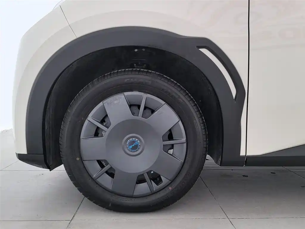 BYD Seagull 2025 Smart Drive Edition 305km Vitality Version фото 17