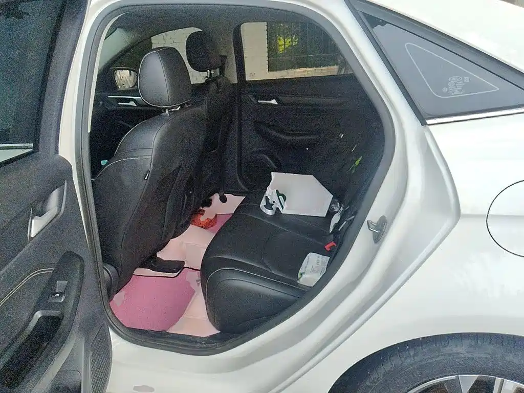 Ford Escort 2022 2021 1.5L Automatic Diamond Edition