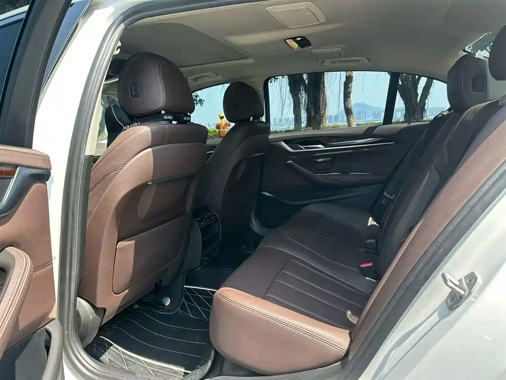BMW 5 Series 2020 525Li Luxury Package фото 6