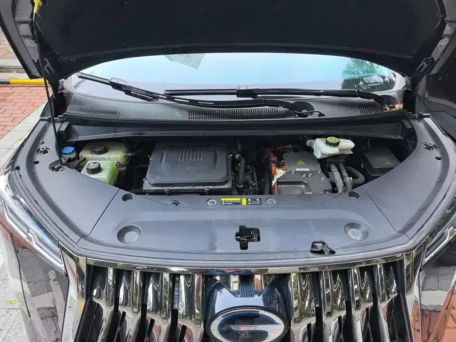 GAC Trumpchi Trumpchi E9 2023 E9 Grandmaster фото 10