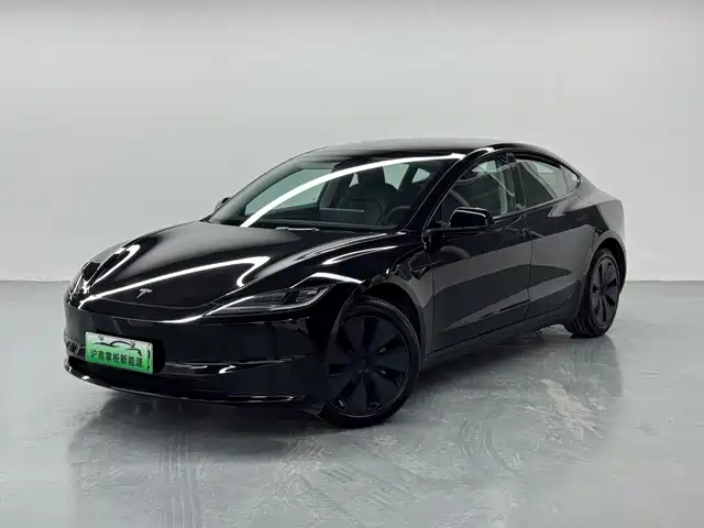 Tesla Model 3 2023 Rear-Wheel Drive
