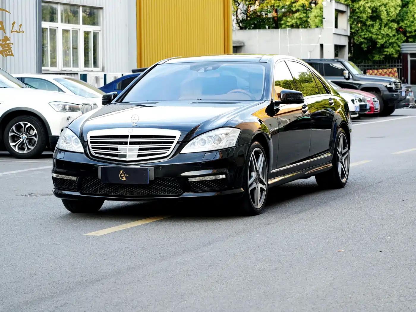 Mercedes-Benz S-Class AMG 2010 AMG S 65 фото 3