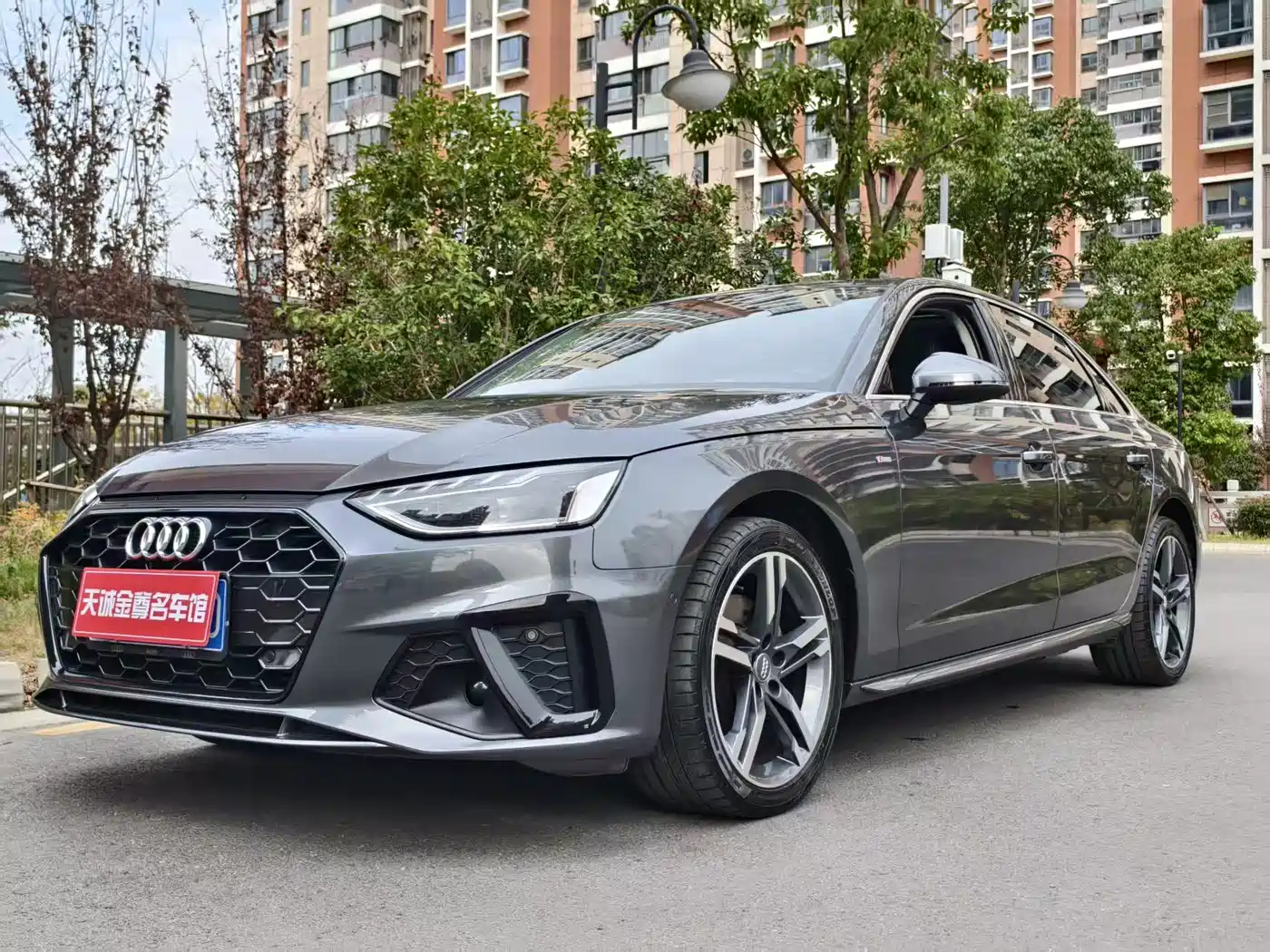 Audi A4L 2020 40 TFSI Luxury Dynamic