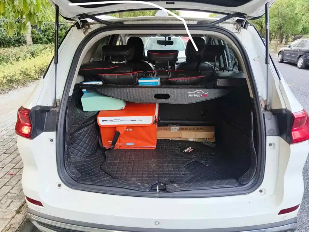 Photo 13 - Haval M6