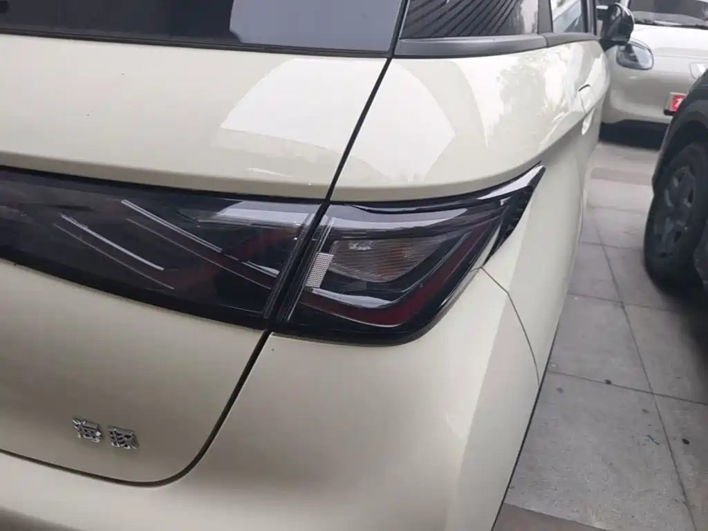 BYD Dolphin 2026 2025 420km Freedom Edition