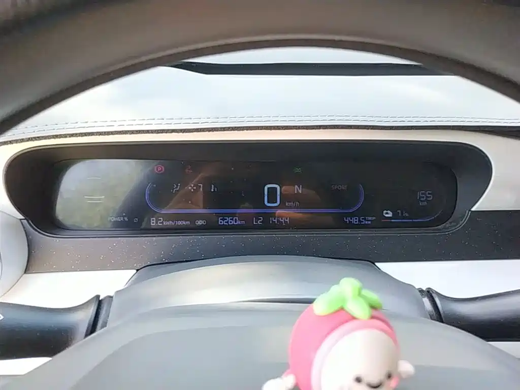 Geely Galaxy Panda 2025 Panda mini 210km Vitality Bear фото 12