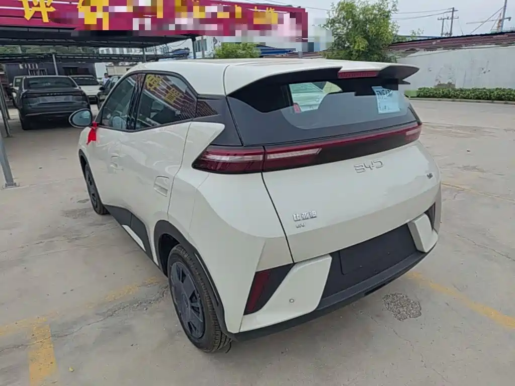 BYD Seagull 2026 2025 Smart Drive Edition 305km Vitality Version