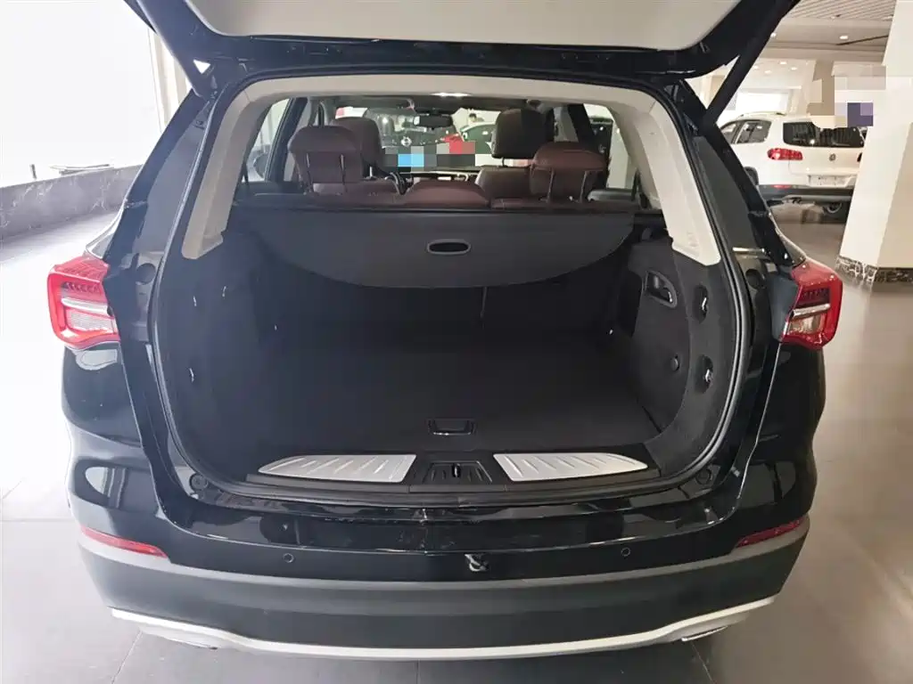 Buick Envision Plus 2020 28T AWD Elite фото 15