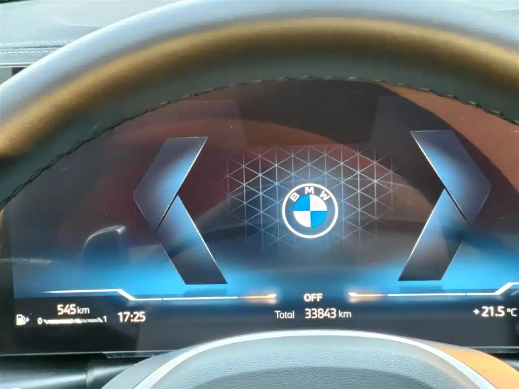 BMW 3 Series 2023 325Li M Sport Black Night Package фото 6
