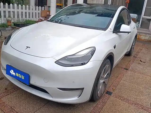 Tesla Model Y 2021 Standard Range Rear-Wheel Drive