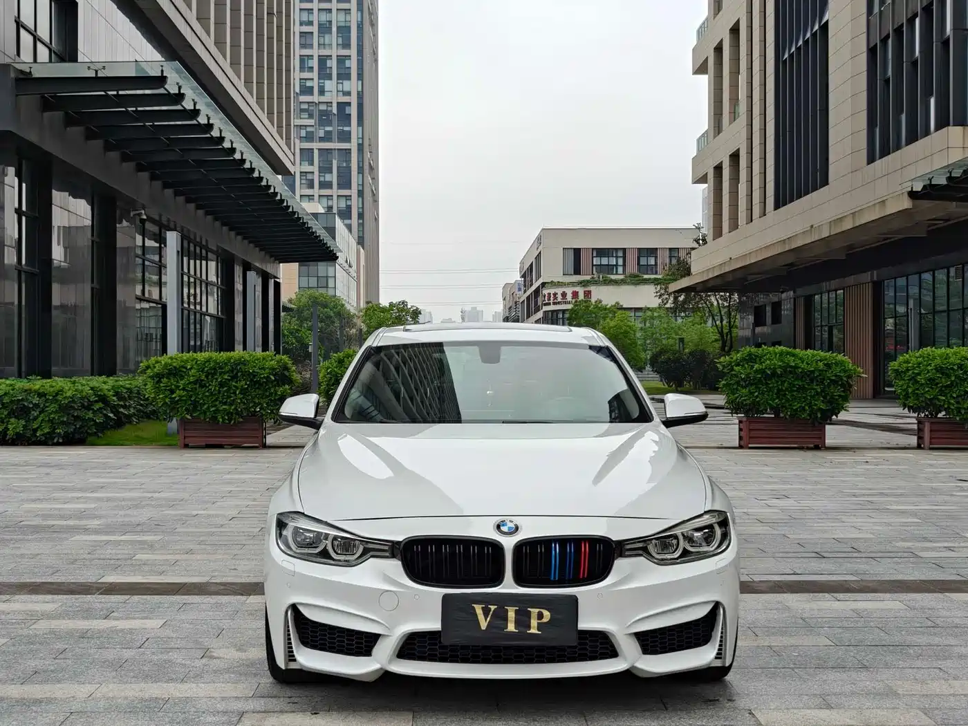 BMW 3 Series 2019 320Li Fashion Type