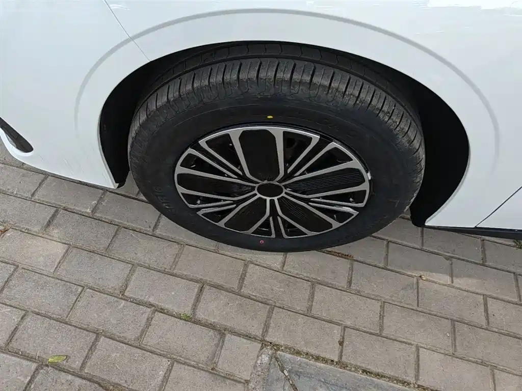 Geely Galaxy Galaxy Stellar 6 2025 60km Voyager Edition фото 23