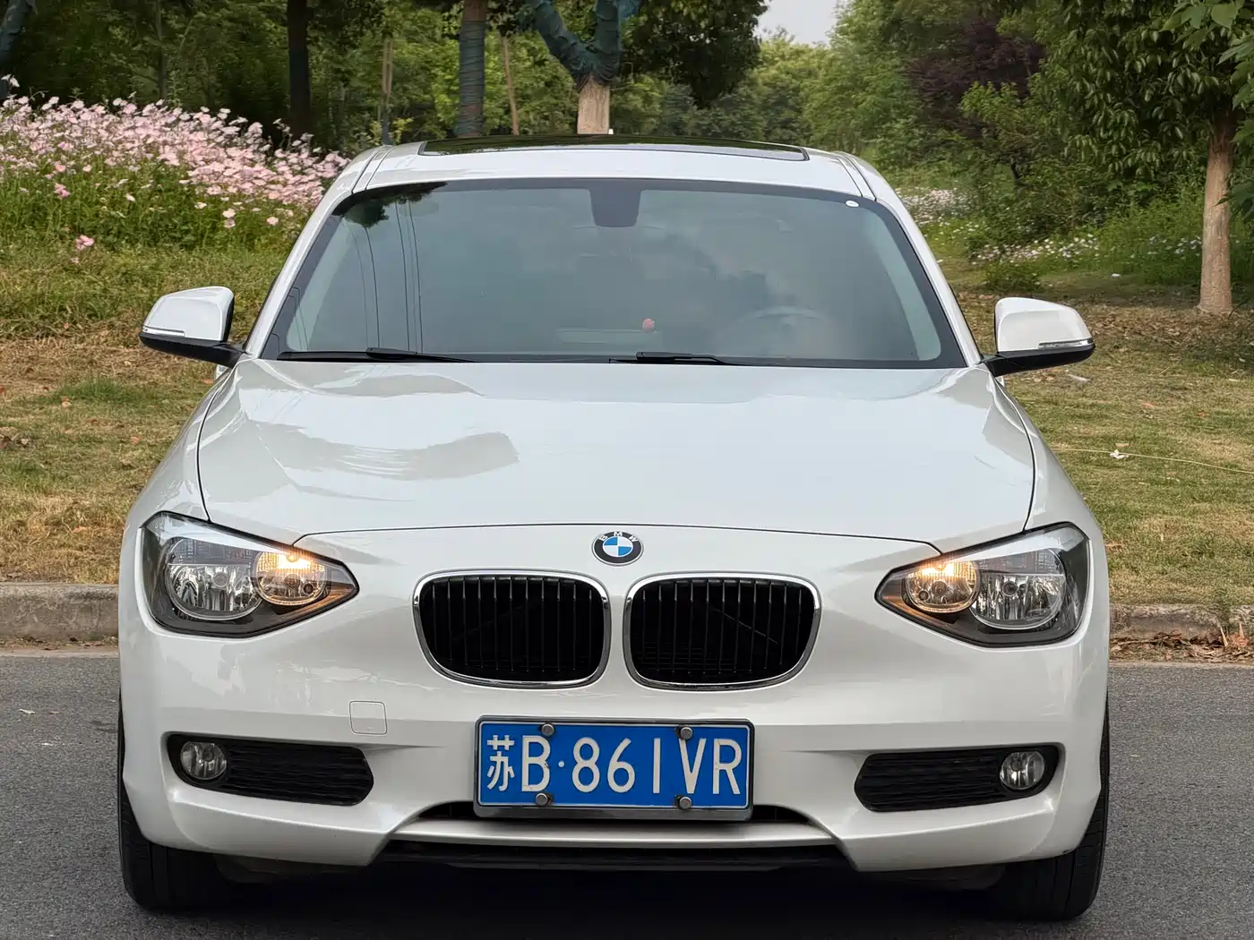 BMW 1 Series (Import) 2015 118i Leading фото 2