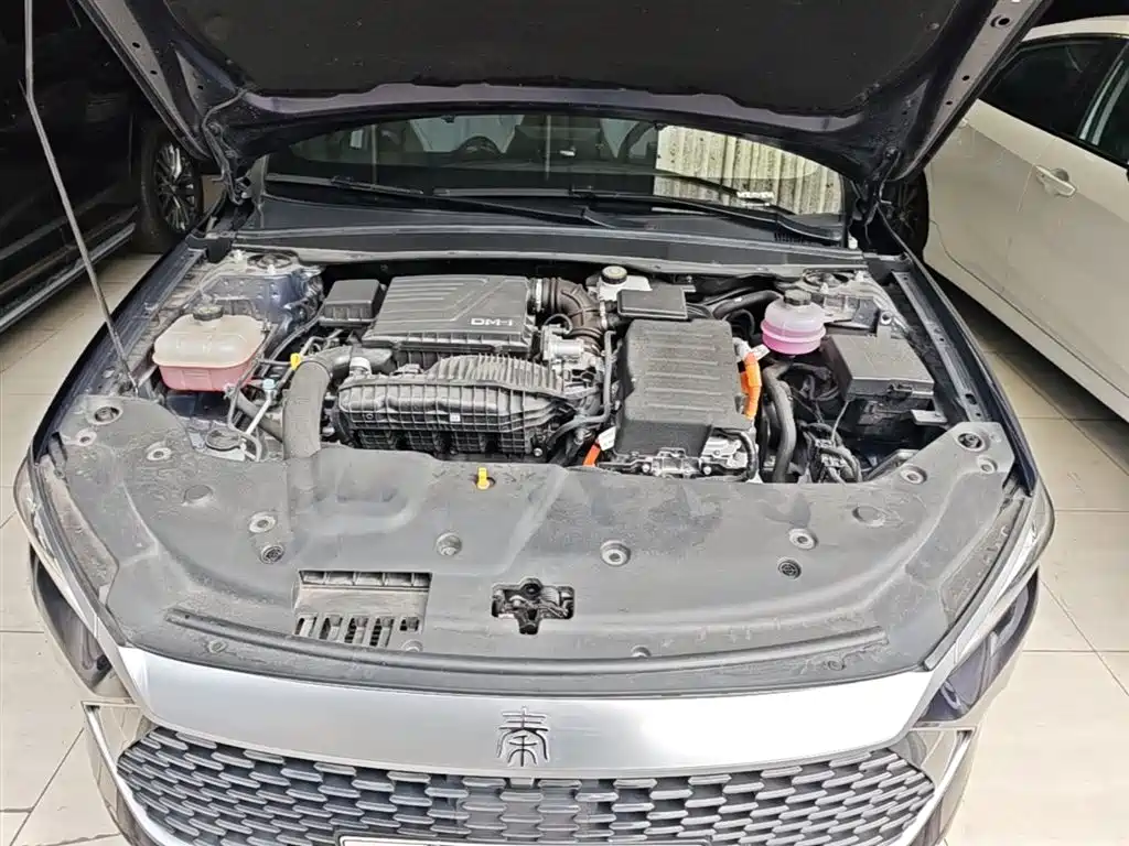 BYD Qin PLUS 2024 Glory Edition DM-i 55KM Leading фото 20