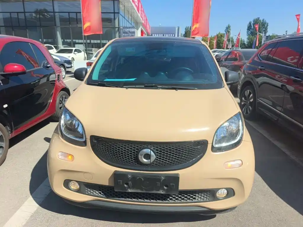 Фото 3 - smart forfour