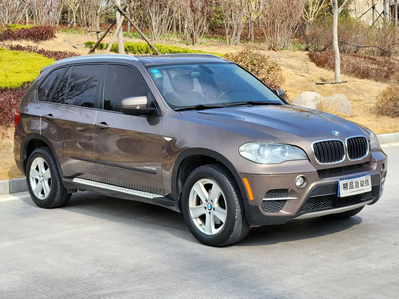 BMW X5 (Import) 2013 xDrive35i Leading фото 2