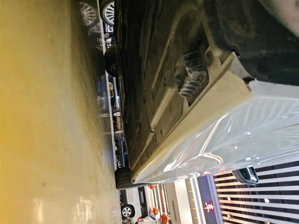 BMW 3 Series 2020 325Li M Sport Black Night Package фото 21