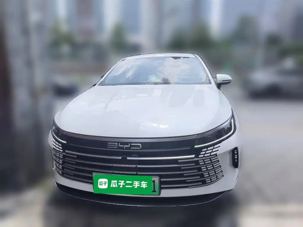 BYD Destroyer 05 2024 Glory Edition DM-i 55KM Luxury фото 24